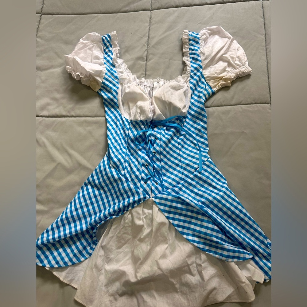 Dorothy Dress Costume